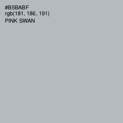 #B5BABF - Pink Swan Color Image